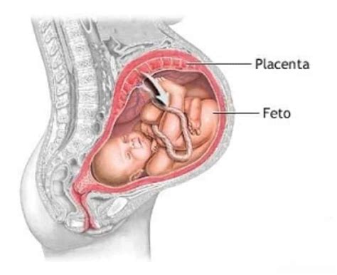 var sitter moderkakan